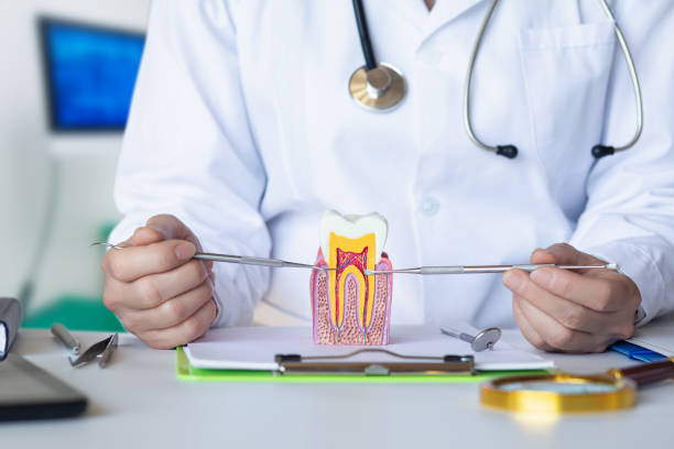 Best Emergency Root Canal Treatment in Lincoln Park, MI